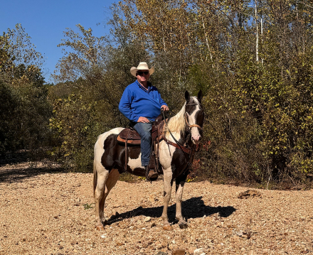 HorseID: 2305467 Tonto - PhotoID: 1088863