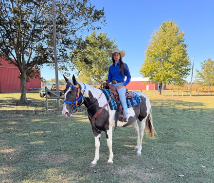 HorseID: 2305467 Tonto - PhotoID: 1088864