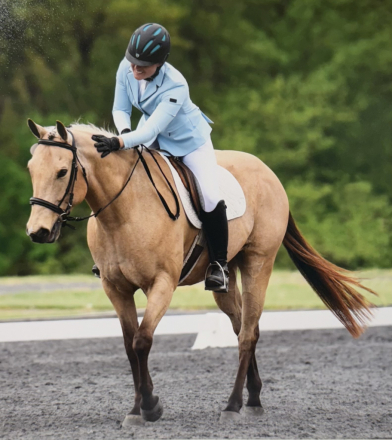 HorseID: 2305478 SUNFROST THUNDER JET - PhotoID: 1088869