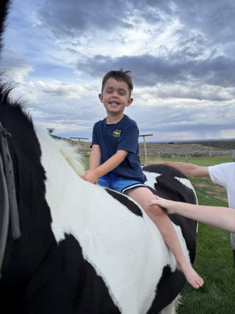 HorseID: 2305487 FTF The Girl On Fire - PhotoID: 1089451