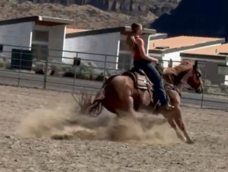 HorseID: 2305543 Chics Magic Magnum - PhotoID: 1088936