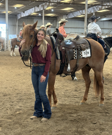 HorseID: 2305543 Chics Magic Magnum - PhotoID: 1088939