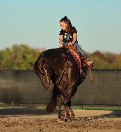 HorseID: 2305570 Son Of Smart Spook Fininshed L4 Open Reiner - PhotoID: 1088972