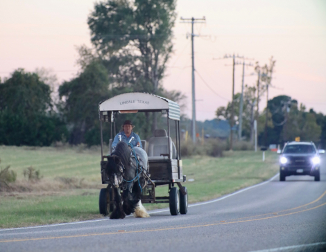 HorseID: 2305572 High Beam - PhotoID: 1089054
