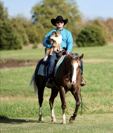 HorseID: 2305573 TR VIPER BACA - PhotoID: 1088980