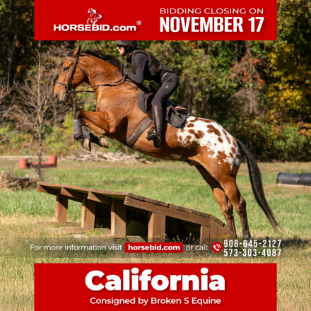HorseID: 2305574 California - PhotoID: 1089057