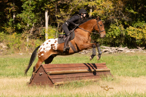 HorseID: 2305574 California - PhotoID: 1089061