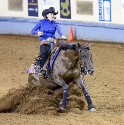 HorseID: 2305578 DUN IT IN A BIKINI - PhotoID: 1089001