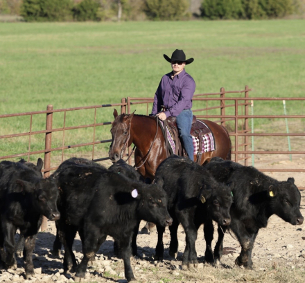 HorseID: 2305578 DUN IT IN A BIKINI - PhotoID: 1089003