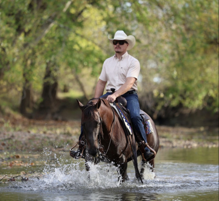 HorseID: 2305578 DUN IT IN A BIKINI - PhotoID: 1089004