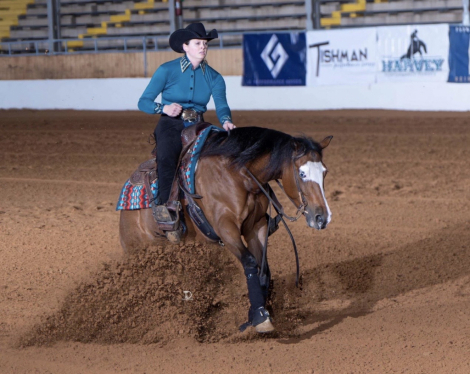 HorseID: 2305580 HA MOBSTER CHICA - PhotoID: 1089009