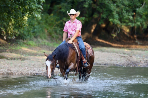 HorseID: 2305580 HA MOBSTER CHICA - PhotoID: 1089011