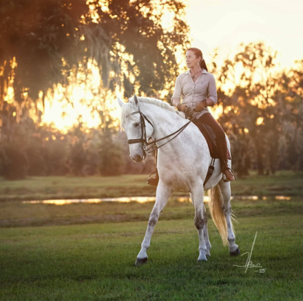 HorseID: 2305583 Lumiere - PhotoID: 1089019