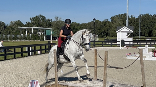 HorseID: 2305583 Lumiere - PhotoID: 1089020