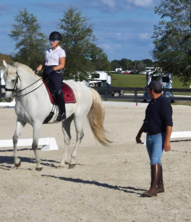 HorseID: 2305583 Lumiere - PhotoID: 1089021