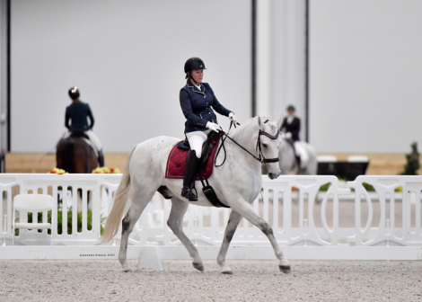 HorseID: 2305583 Lumiere - PhotoID: 1089231