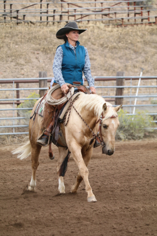 HorseID: 2305599 Lil Playing Boon - PhotoID: 1089039