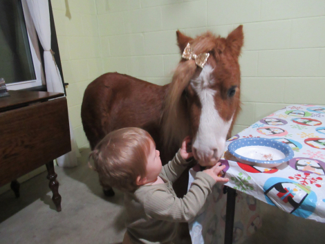 HorseID: 2305606 splash - PhotoID: 1089067