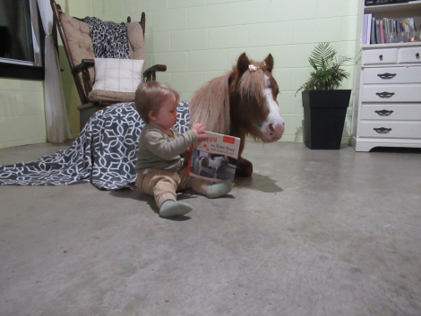 HorseID: 2305606 splash - PhotoID: 1089070