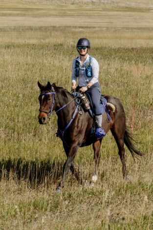 HorseID: 2305608 Miss Curley D’Oro - PhotoID: 1089072