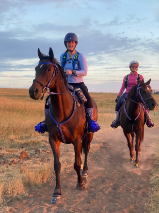 HorseID: 2305608 Miss Curley D’Oro - PhotoID: 1089074