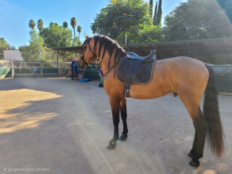 HorseID: 2305621 Esmeralda JP - PhotoID: 1089086