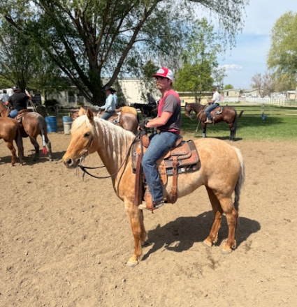 HorseID: 2305627 Blondie - PhotoID: 1089093