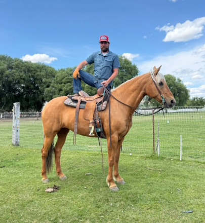 HorseID: 2305627 Blondie - PhotoID: 1089094