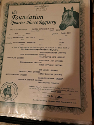 HorseID: 2305645 Classic Skip Delight - PhotoID: 1089120