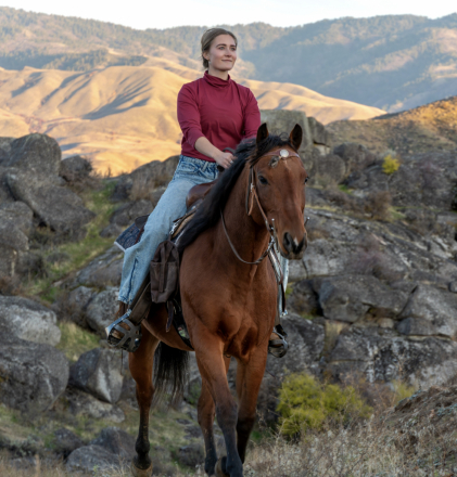 HorseID: 2305651 RANGER - PhotoID: 1089129