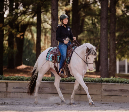 HorseID: 2305683 Color me Chrome - PhotoID: 1089164