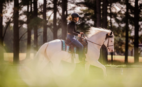 HorseID: 2305683 Color me Chrome - PhotoID: 1089165