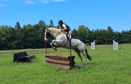 HorseID: 2305683 Color me Chrome - PhotoID: 1089167