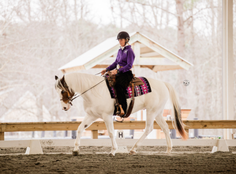 HorseID: 2305683 Color me Chrome - PhotoID: 1089169