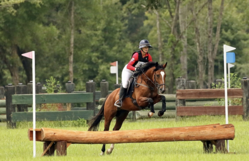 HorseID: 2305690 Ashland's Futura - PhotoID: 1089184