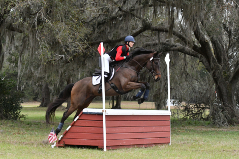 HorseID: 2305692 Nijinsky - PhotoID: 1089186