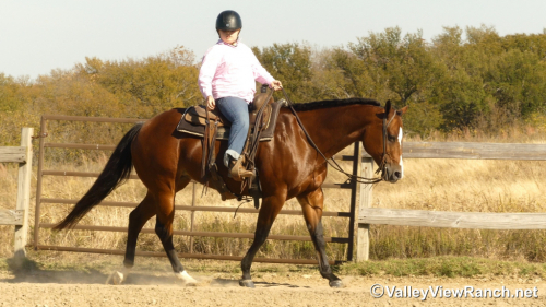 HorseID: 2305707 A Special RL - PhotoID: 1089189