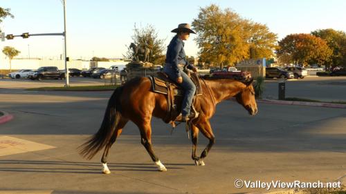 HorseID: 2305707 A Special RL - PhotoID: 1089193