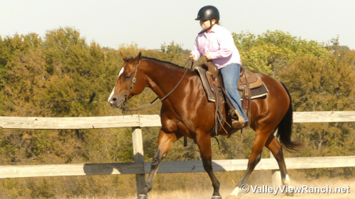 HorseID: 2305707 A Special RL - PhotoID: 1089194