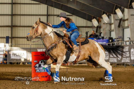 HorseID: 2305719 Bandit - PhotoID: 1089844