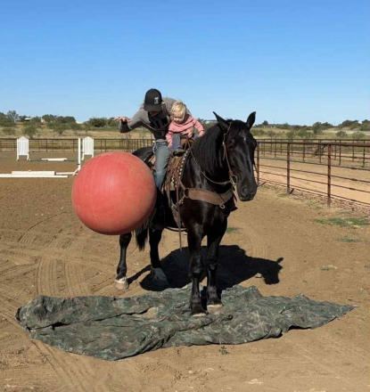 HorseID: 2305742 Pele HHC - PhotoID: 1089413