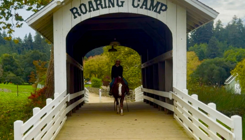 HorseID: 2305744 Doc Holiday LHR - PhotoID: 1089409