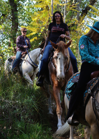 HorseID: 2305766 Apache - PhotoID: 1089267