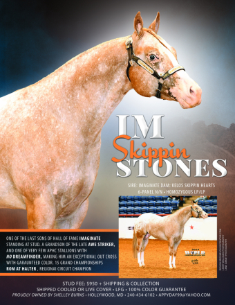 HorseID: 2305793 Im Skippin Stones - PhotoID: 1089298