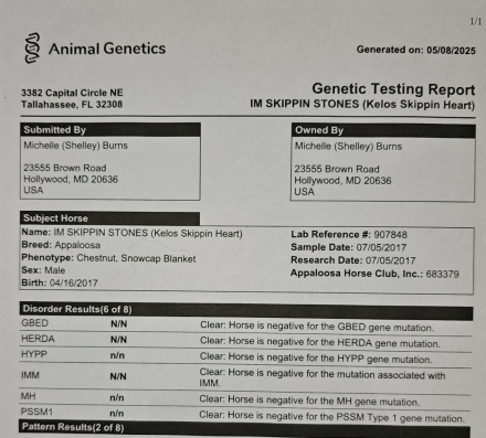 HorseID: 2305793 Im Skippin Stones - PhotoID: 1089300