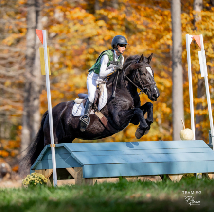 HorseID: 2305796 Ruca - PhotoID: 1089304