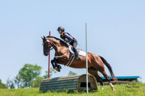 HorseID: 2305798 Tenacity - PhotoID: 1089305