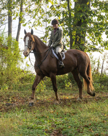 HorseID: 2305799 Poppy - PhotoID: 1089308