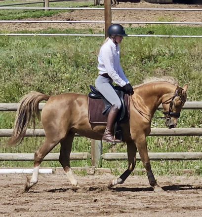 HorseID: 2305800 Mia-Mar Do You Dance - PhotoID: 1089317