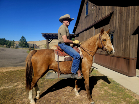 HorseID: 2305800 Mia-Mar Do You Dance - PhotoID: 1089319